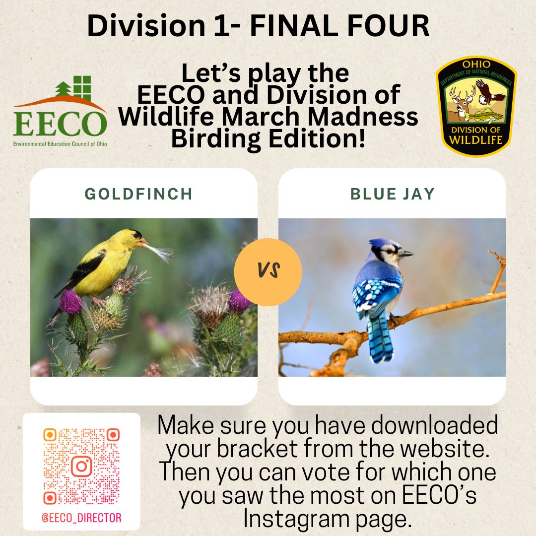 directorEECO's tweet image. No fooling! It is the FINAL FOUR! 😳
Play along and let us know which bird you saw more by voting on our Instagram page. 
To learn about our March Madness Bird Brackets, go to: eeco.wildapricot.org/page-1786411

#getoutside #marchmadnessbirdbracket #BirdingFun