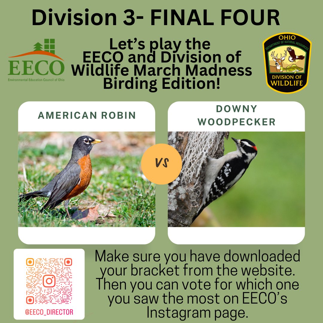 directorEECO's tweet image. No fooling! It is the FINAL FOUR! 😳
Play along and let us know which bird you saw more by voting on our Instagram page. 
To learn about our March Madness Bird Brackets, go to: eeco.wildapricot.org/page-1786411

#getoutside #marchmadnessbirdbracket #BirdingFun