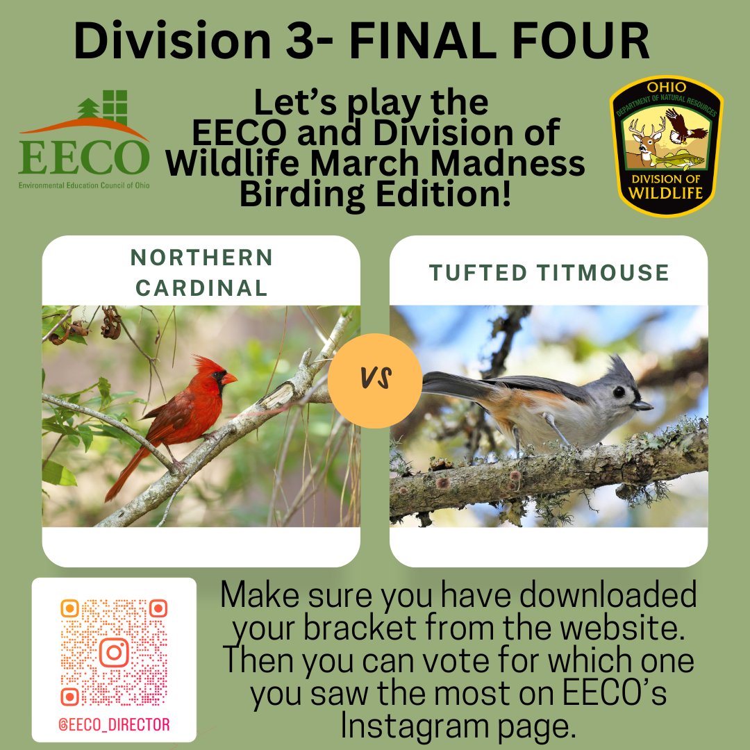 directorEECO's tweet image. No fooling! It is the FINAL FOUR! 😳
Play along and let us know which bird you saw more by voting on our Instagram page. 
To learn about our March Madness Bird Brackets, go to: eeco.wildapricot.org/page-1786411

#getoutside #marchmadnessbirdbracket #BirdingFun