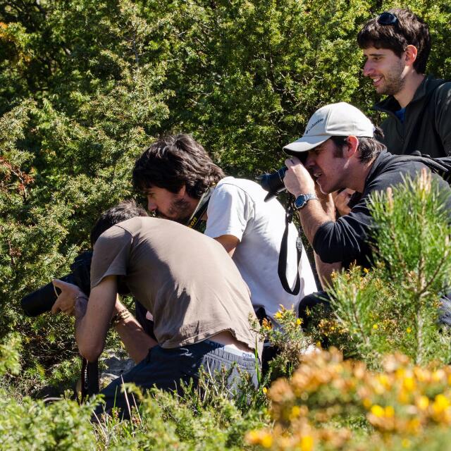 📢 Como en los últimos cinco años, #SUGEBIZI se pone en marcha del 1 de abril hasta julio de 2025.   
  📲 Participa en:
🔵 Bluesky: <a href="/aranzadi/">Aranzadi</a>.bsky.social
 🐘 Mastodon: <a href="/aranzadi/">Aranzadi</a> (mastodon.eus)
¡Os esperamos en las nuevas plataformas! 🌍🐍