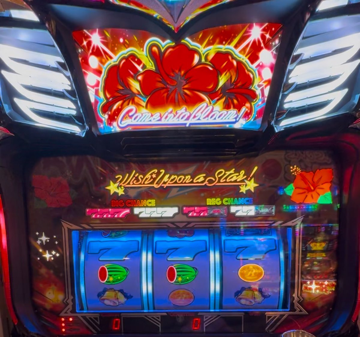 m_fun_slot's tweet photo. パチスロ HANA HANA Star 777 ビッグボーナス #slotmachine #youtube #パチスロ #スロット #ハナハナ ... https://t.co/76p4bTmCSo @YouTubeより

エムチャンネル
ショート動画をアップしました📽️📽️ https://t.co/R15e8L5ijE
