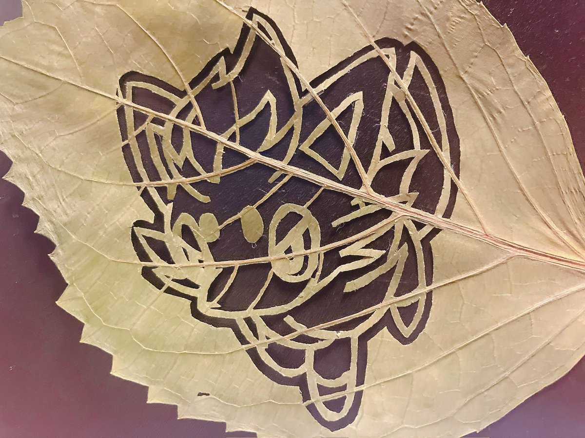 #繋がらなくてもいいから俺のゾロアを見てくれ