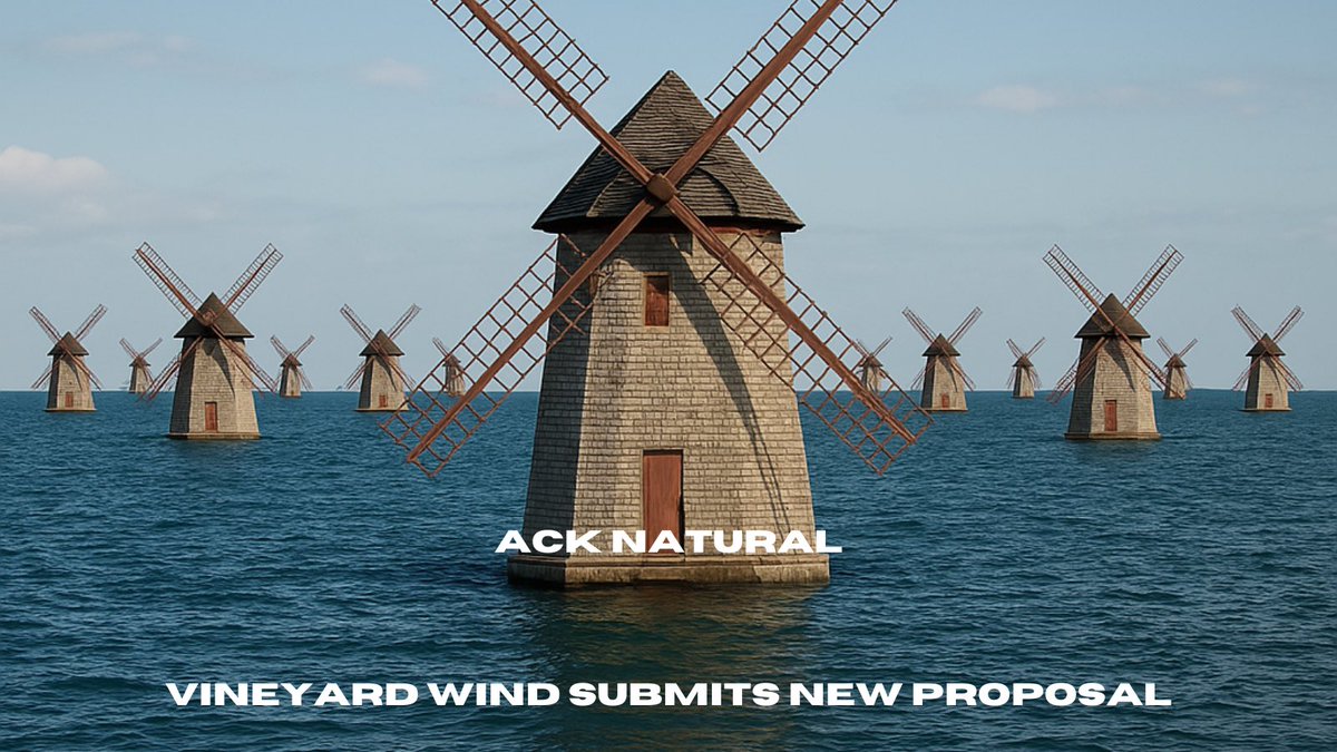 _AckNatural's tweet photo. Vineyard wind submits new proposal https://t.co/qQR9U488YC