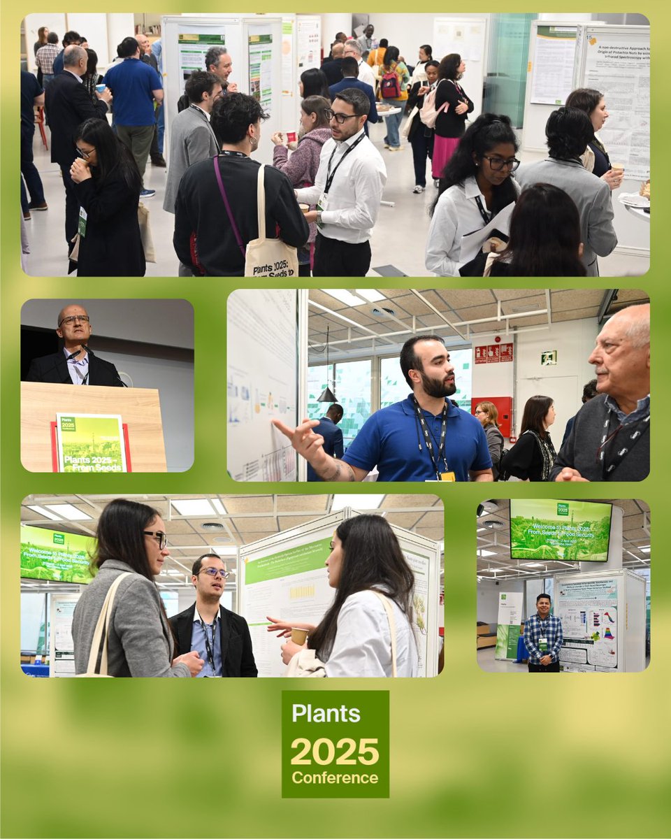 sciforum's tweet image. Check out these behind-the-scenes snaps from the morning sessions of Day 2! 📸

Including sessions exploring emerging technologies in plant-microbe interactions and plant health and our first poster session! 🌱

#Plants2025 #MDPI #OpenAccess