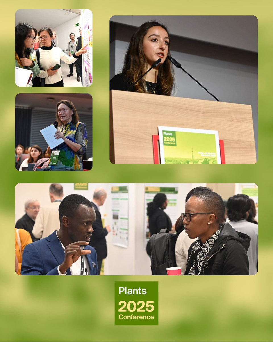 sciforum's tweet image. Check out these behind-the-scenes snaps from the morning sessions of Day 2! 📸

Including sessions exploring emerging technologies in plant-microbe interactions and plant health and our first poster session! 🌱

#Plants2025 #MDPI #OpenAccess
