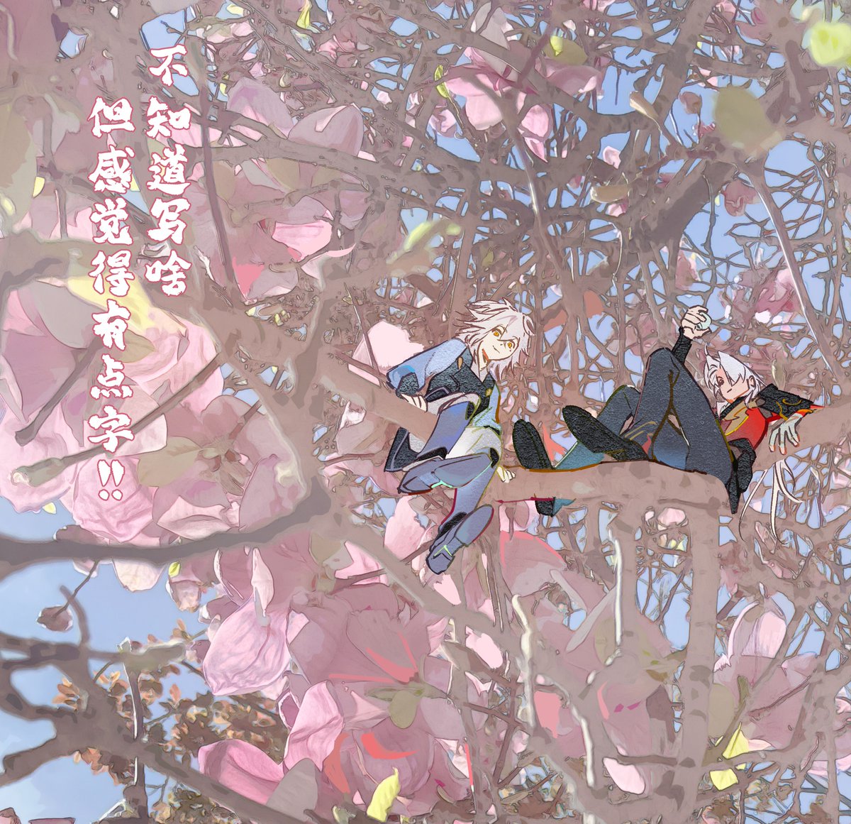 Polymorph tweet media