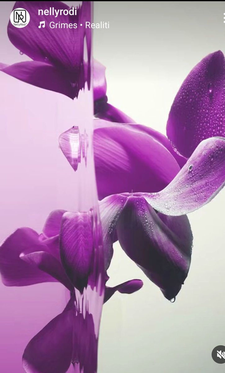 Magnolia April's Color <a href="/nellyrodi/">NellyRodi</a>