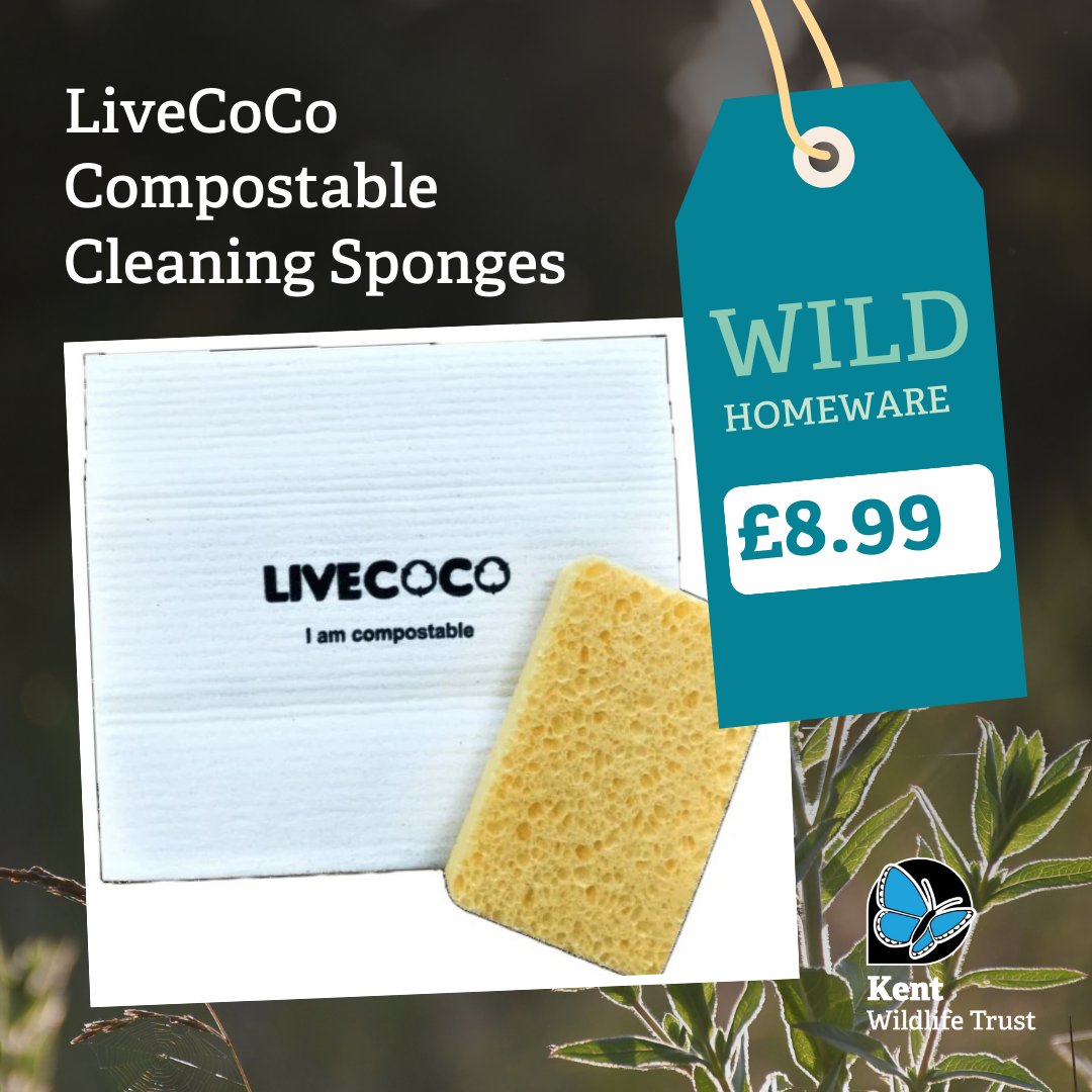 Kent Wildlife Trust tweet media