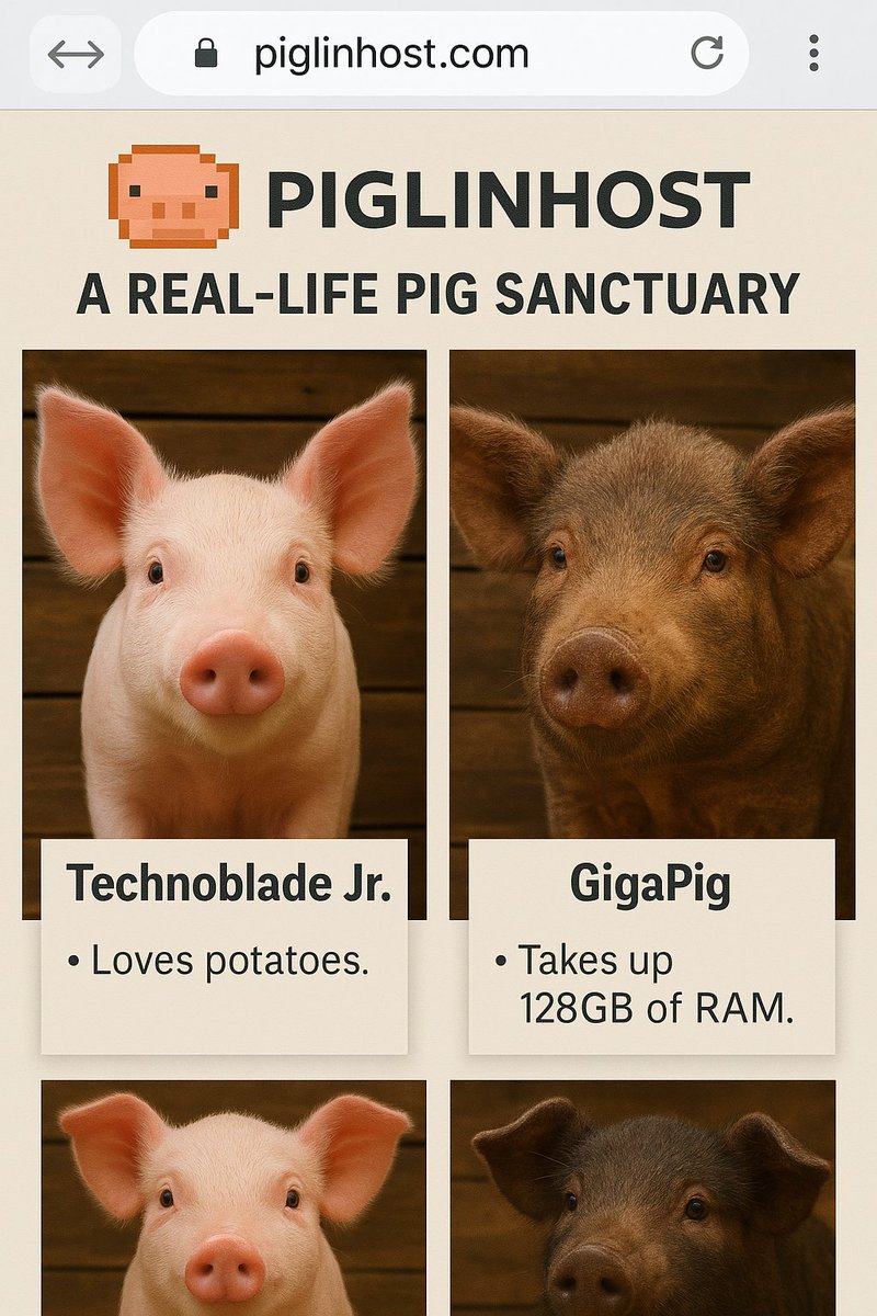 🚨 Important Announcement

After much thought, PiglinHost is ceasing all #Minecraft hosting operations. Instead, we’re becoming a real-life pig sanctuary!  💕

All servers have been deleted immediately (no refunds, sorry!). Your money now supports rescued Piglins, err, pigs! 🐷