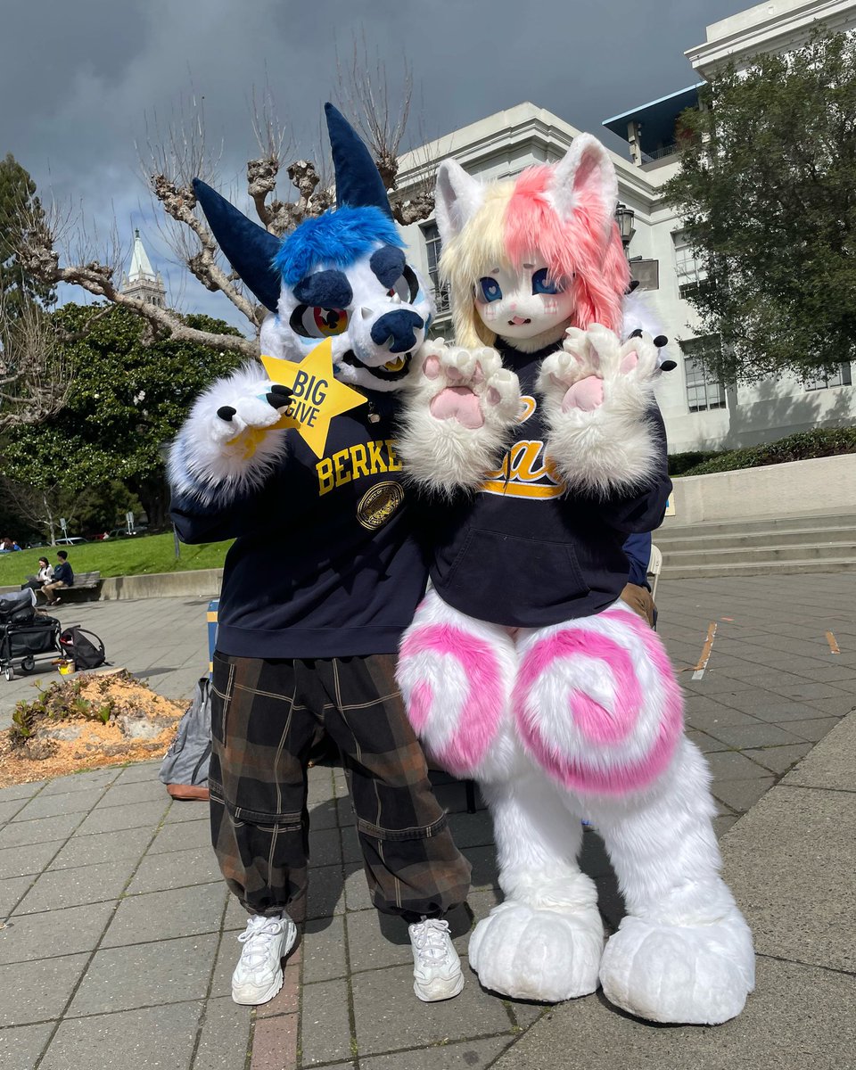 Furries at Berkeley tweet media