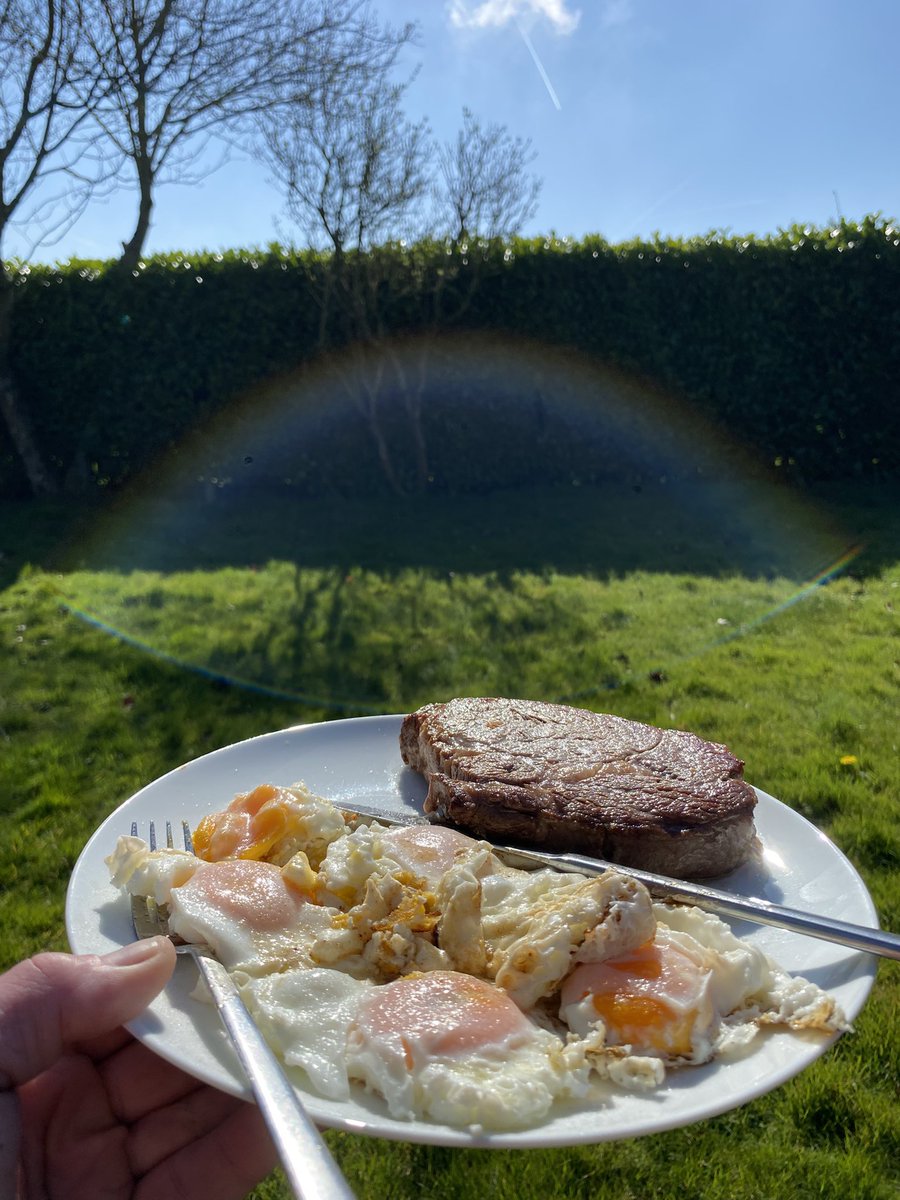 Lifeheuristic's tweet image. Eating lunch in the sun, barefoot.

✅ steak and eggs
✅ vitamin D
✅ grounding

Is that a halo over the ribeye?