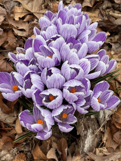 Change is in the Air! - mailchi.mp/rozlee.net/apr…