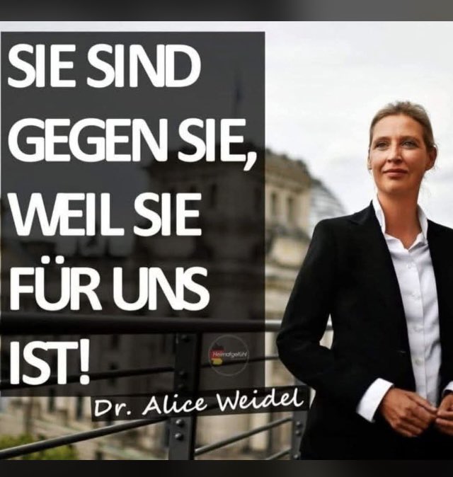 Deswegen wird die AfD immer stärker 💙🇩🇪💪🥳 Weil Alice für uns kämpft