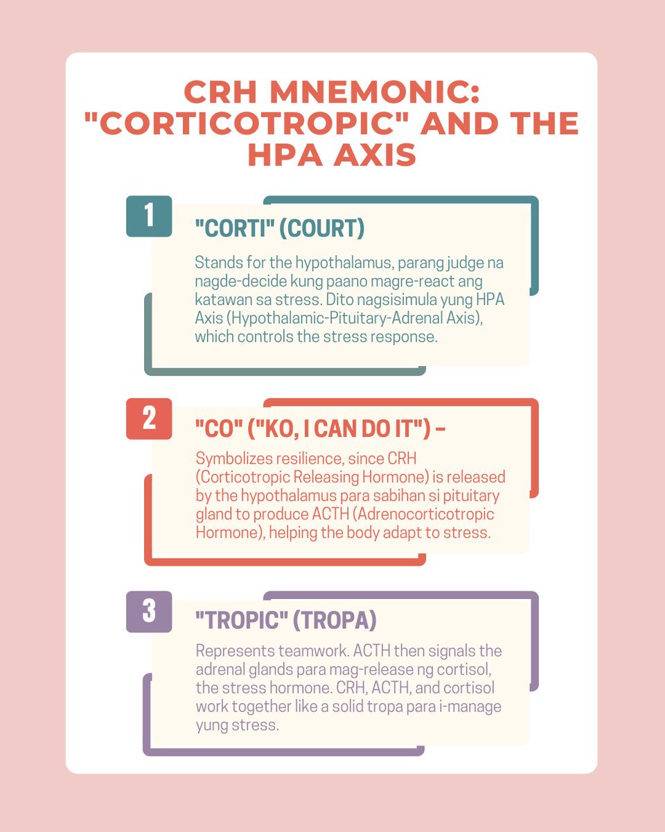 dbc_cass's tweet photo. Corti (Hypothalamus) = The judge deciding if mag-aaral or mag-5 mins. break (na magiging 2 hours)   

Co = CRH saying ‘Kaya ko ‘to kahit lowbat na brain cells ko’   

Tropic = CRH, ACTH, and Cortisol = The tropa keeping me alive thru all this stress <3 
#rpmtwt https://t.co/8Pa9rFEVF6