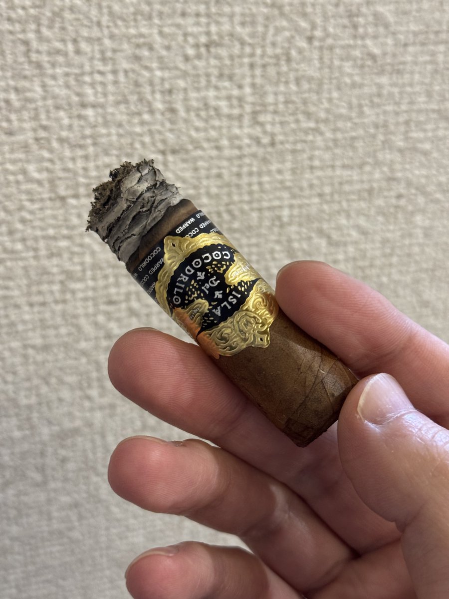 Tennis_Step's tweet image. 今日はクロコダイルちゃん。
安定して美味いなこの子。

#葉巻 #Cigar #Warped