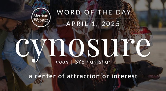 Merriam-Webster Word of the Day April 1, 2025 'cynosure' noun | SYE-nuh-shur "a center of interest" Background Image: people washing a dog