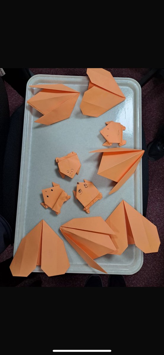 BTHFT Adult SALT tweet media