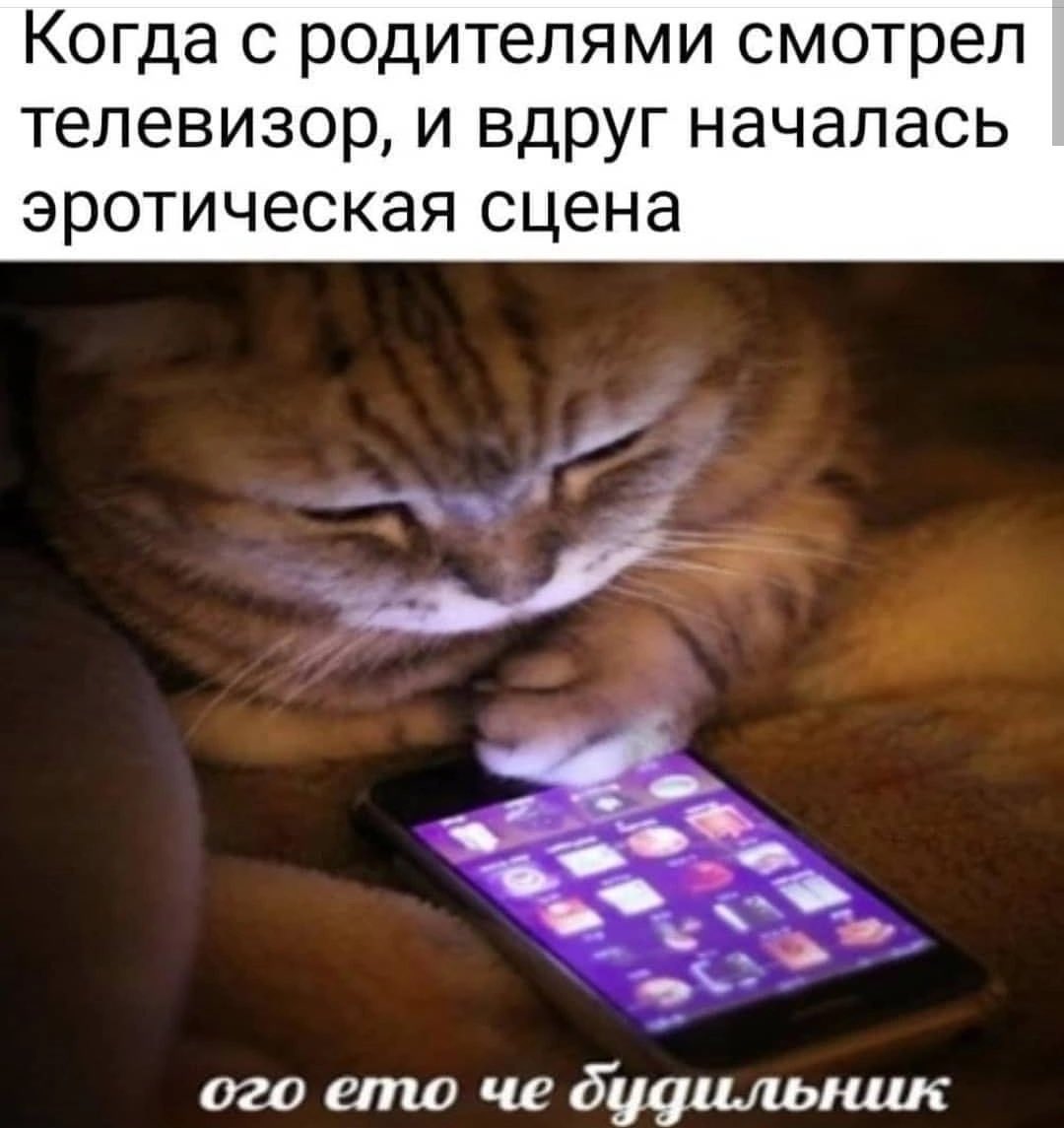 ужасные мемы tweet media