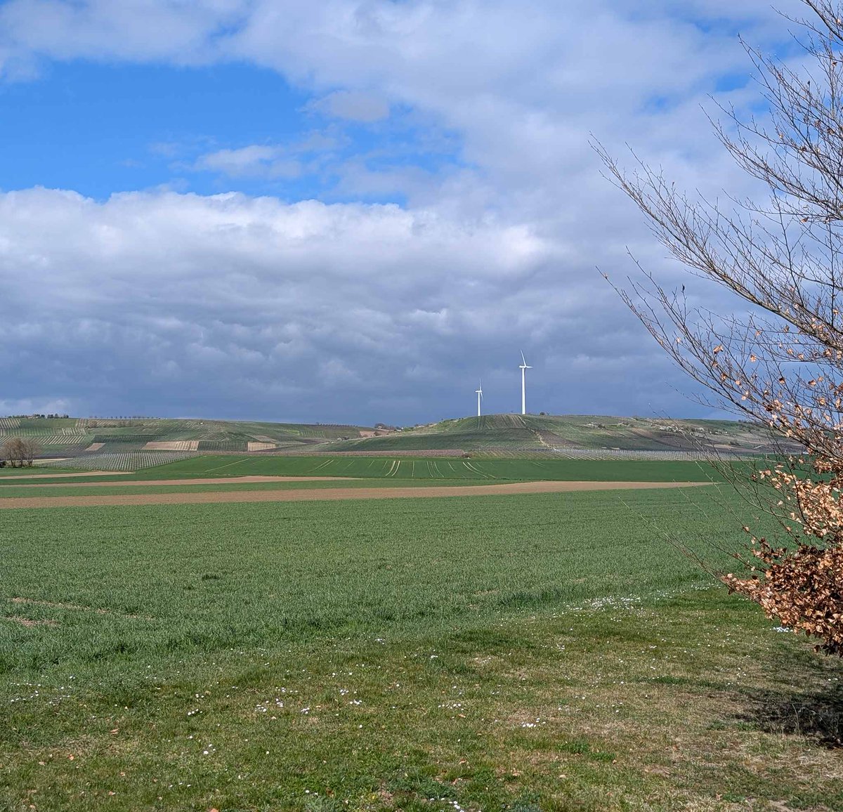 Das #TablettenTaxi unterwegs am Zornheimer Berg. Die Woche soll ja noch sonnig werden. 😀 #Rheinhessen