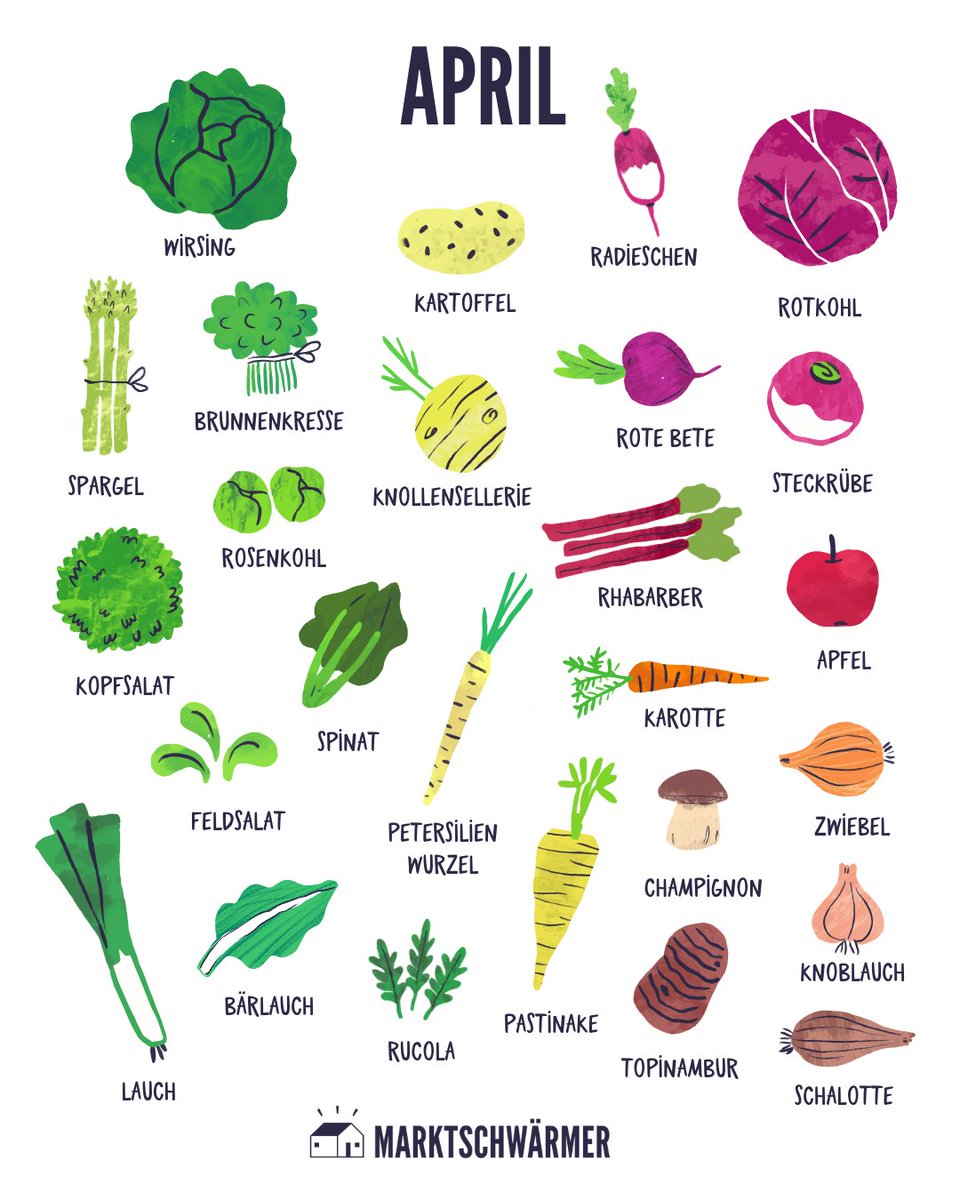 Der Frühling ist da – und mit ihm eine bunte Vielfalt an frischem Obst und Gemüse! 🌻 Im April kannst du dich auf knackige Radieschen, zarten Spinat und den ersten regionalen Spargel freuen. 🥬🍎 Auch Rhabarber hat jetzt Saison!😍
