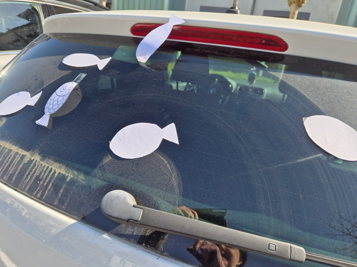 Carine Zanette tweet media