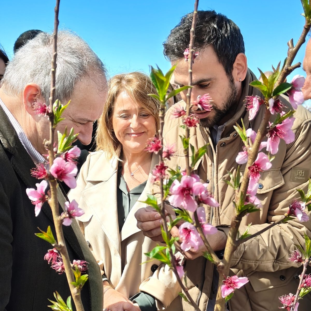 🌸 <a href="/Fruiturisme/">Fruiturisme Aitona</a> tanca una temporada d’èxit amb més de 20.000 visitants! L’Ajuntament d’#Aitona fa un balanç molt positiu de la campanya, que ha consolidat el municipi com una destinació de referència en el turisme de natura.

🔗 Notícia f.mtr.cool/sljzkwqkps