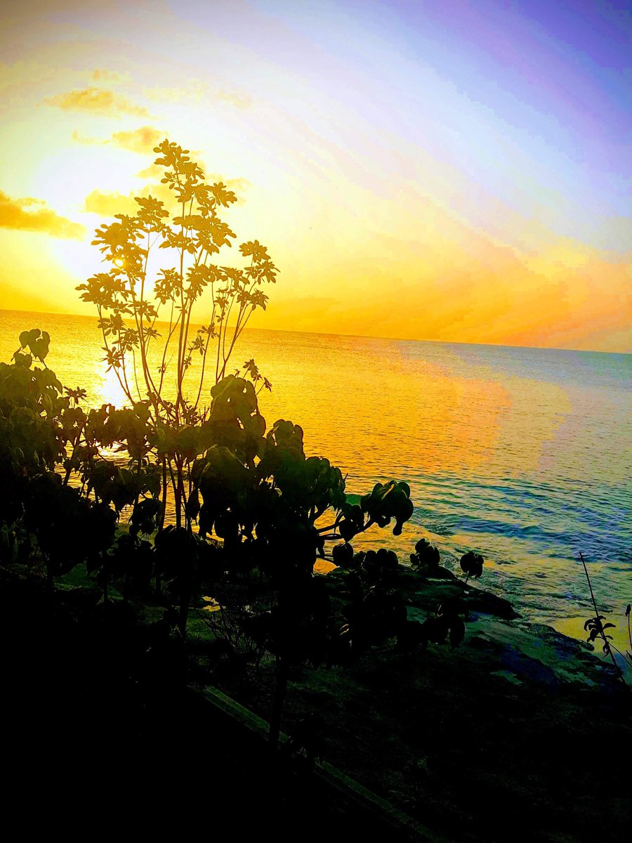 CaroleBeckford's tweet image. Beach Limerz, Antigua #TuesdayScenes @jahmekyagyal