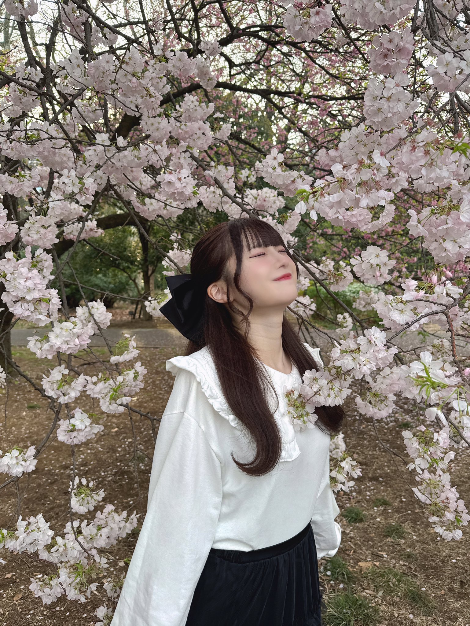 生写真(女性)/アイドル/≠ME ノットイコールミー(≠ME)/菅波美玲