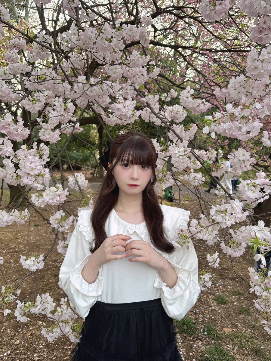 菅波 美玲 on X: 