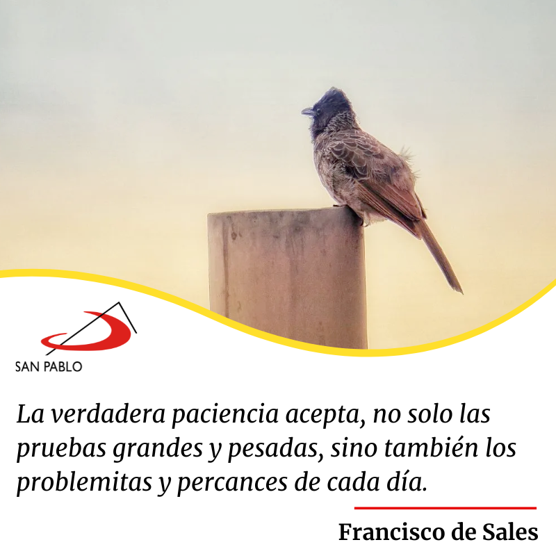 SanPablo_Ar's tweet photo. ✨ Buenos días.

❤️ Llevad la Palabra de Dios a los hombres de hoy con los medios de hoy. Beato Santiago Alberione, fundador de la Familia Paulina.

Visítanos en
💻 Librería virtual  https://t.co/kPKwV7KqH9
🏠 Librerías San Pablo #ComunicandoValores

#SanPablo #BuenosDías https://t.co/qOhb7VfqBg