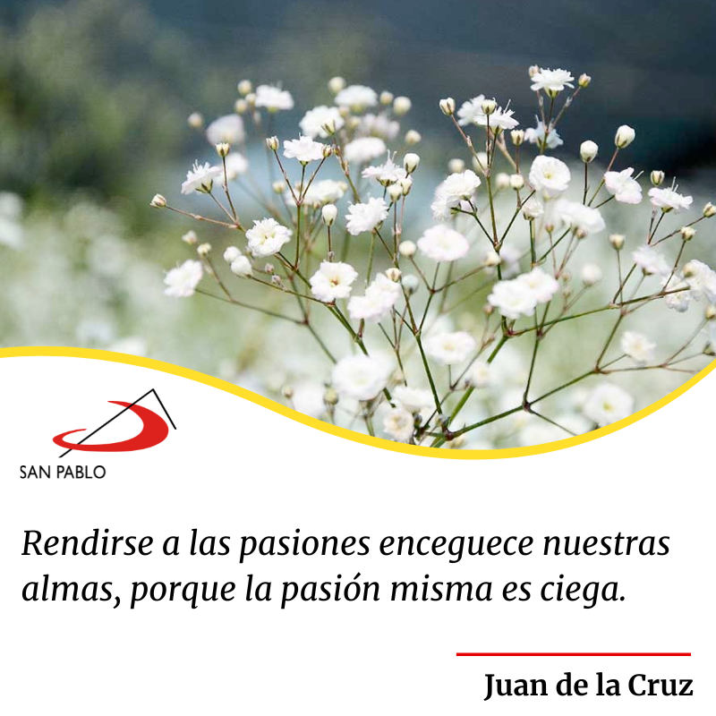 SanPablo_Ar's tweet photo. ✨ Buenos días.

❤️ Llevad la Palabra de Dios a los hombres de hoy con los medios de hoy. Beato Santiago Alberione, fundador de la Familia Paulina.

Visítanos en
💻 Librería virtual  https://t.co/kPKwV7KqH9
🏠 Librerías San Pablo #ComunicandoValores

#SanPablo #BuenosDías https://t.co/vTM4g15SD9