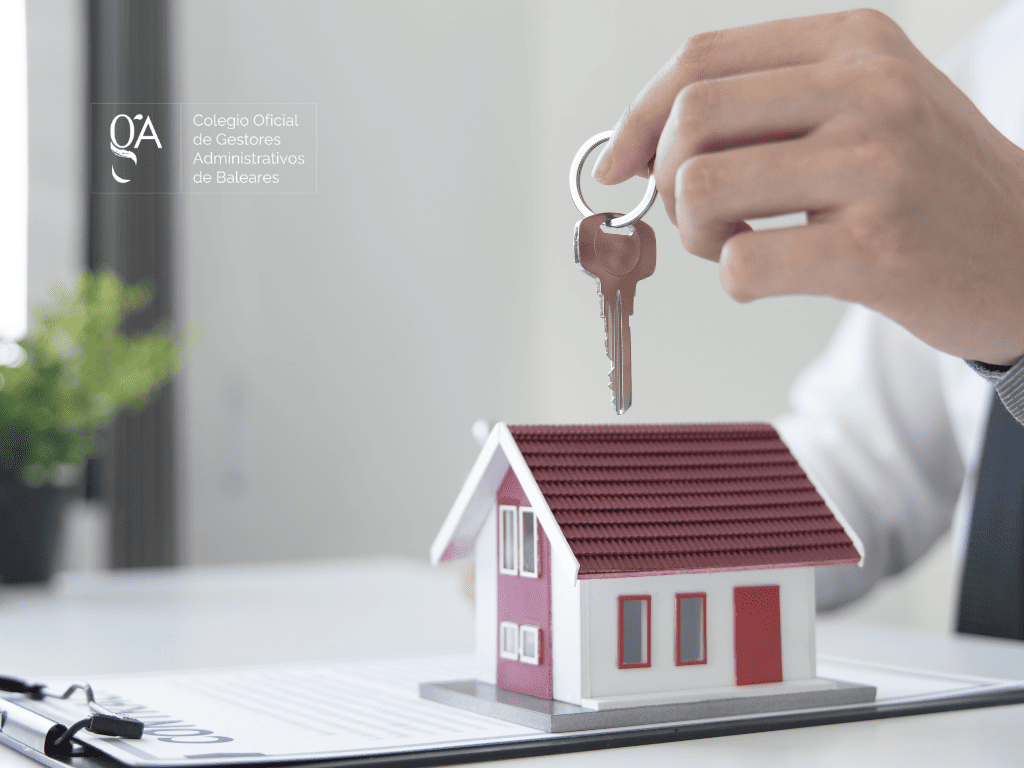 colgestors's tweet photo. 🏠 Guía interesante para inversores en inmobiliaria o propietariarios/as de su vivenda.
https://t.co/nRtFn9lTKC
#guiapararenta #declaraciondelarenta #IRPF #cogab #gAResuelve #gAInforma #gestorfisca #gestorbaleares #inmobiliaria #alquiler #viviendahabitual https://t.co/CSb25zWTkn