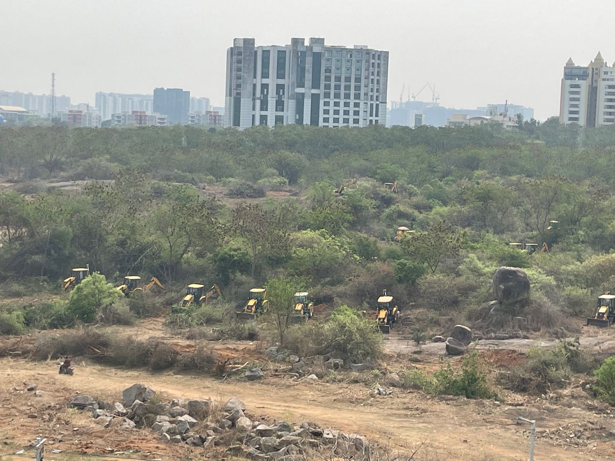 NayanKatake's tweet photo. Not a scene from #Pushpa movie!

These JCBs are in Telangana, where the Congress govt is auctioning 400 acres of #HCU land—destroying wildlife and, This land is home to 237 bird species, spotted deer, wild board star tortoise and various snakes
#SaveHCUBioDiversity 
#savehculand https://t.co/ZIGMyxfgWX