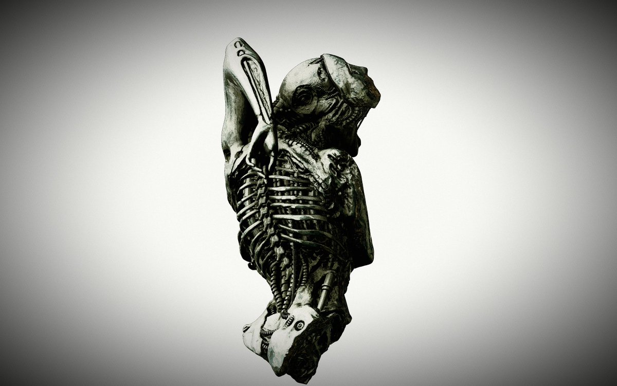 DEGENERATE MATTER tweet media