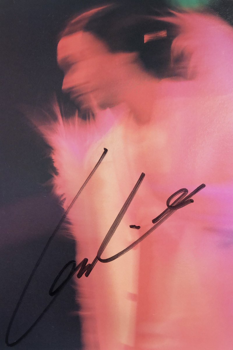 レスリー・チャン  Last scene―photo album― レスリー・チャン Last scene―photo album― レスリー・チャン Last