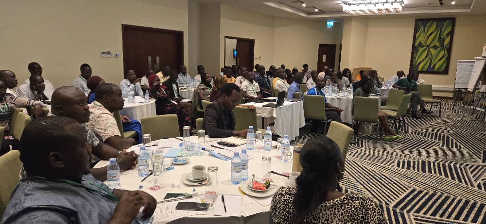 #HappeningNow in Uganda! #TAAT is hosting an Innovation Platform training this week on #Rice, Orange-Fleshed Sweet Potato #OFSP &amp; #ENABLETAATYouth ecosystem. Led by #TAATCDTO under <a href="/FARAinfo/">FARA Africa</a>. 
#TAATinUganda #TransformingAgriculture #YouthInAg #Partnership #EngageTAAT #FeedAfrica