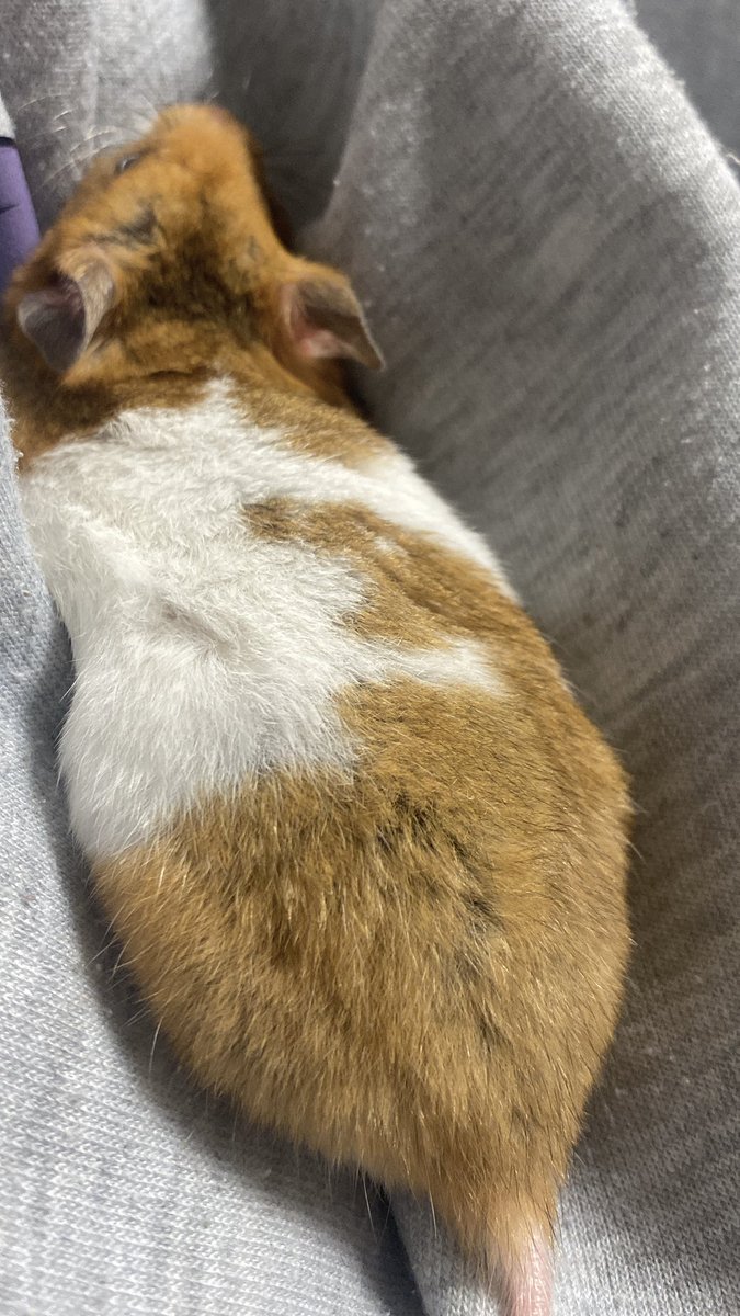ばつぐんのフィット感だけど首痛くないの❓