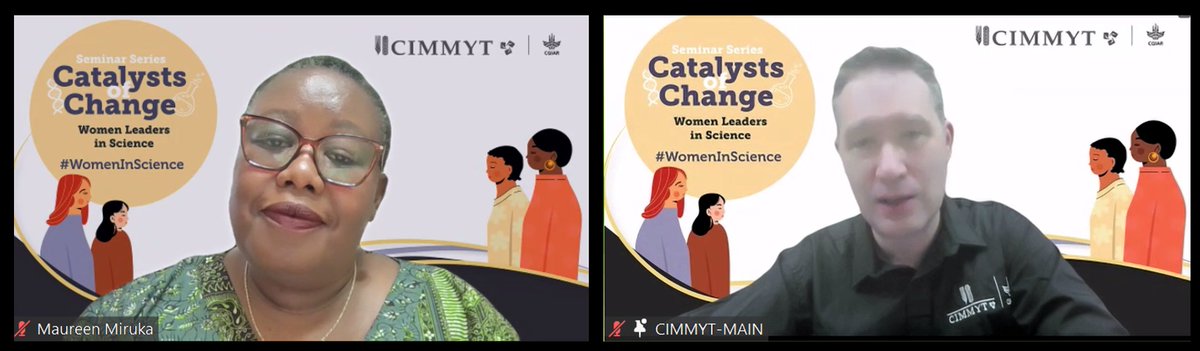 bramaccimmyt's tweet photo. Thank you, Maureen Miruka, @CIMMYT's Director of Gender, Equity, Youth, and Social Inclusion, for sharing your perspective, which focuses on fostering open conversations that promote opportunities for everyone through everyday actions. ๐บ https://t.co/ArdsInIU9i #CatalystOfChange https://t.co/pih3afd5li