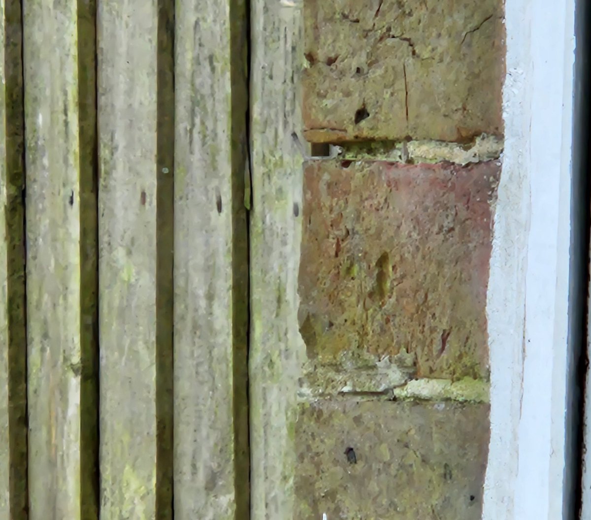 When your bricks look furious 🤣