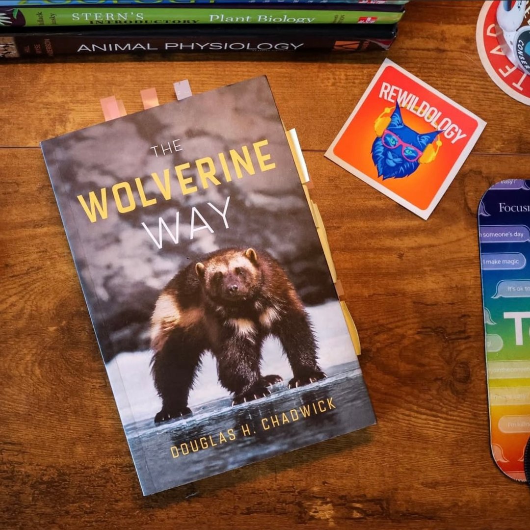 patagoniabooks's tweet photo. We’re halfway through THE WOLVERINE WAY with the @Rewildology Book Club—and the conversations have been wild. 

There’s still time to join the club, grab a copy, and dive in. Click here to join the conversation: https://t.co/9zQdolbjMP https://t.co/rTLWwAgm1x