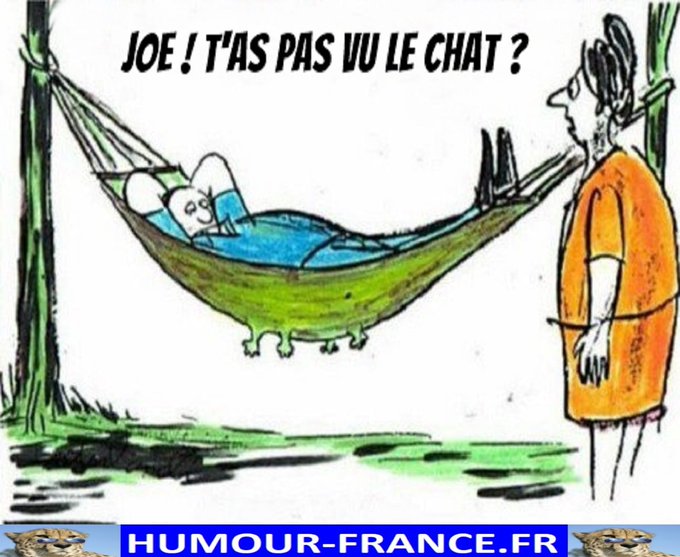 text alternatif