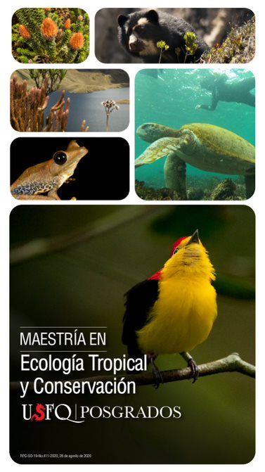 Robert Hofstede (@_roberthofstede) on Twitter photo Maestría en Ecología Tropical y Conservación de la @USFQ. Es una MSc de calidad mundial, en un ambiente megabiodiverso (#Amazonía #Andes #Galapagos) Aplicaciones abiertas para comenzar en agosto 2025.
¡Becas disponibles!
Más información en: lnkd.in/eAEKD2Wb
<a href="/USFQ_COCIBA/">USFQ COCIBA</a> Maestría en Ecología Tropical y Conservación de la @USFQ. Es una MSc de calidad mundial, en un ambiente megabiodiverso (#Amazonía #Andes #Galapagos) Aplicaciones abiertas para comenzar en agosto 2025.
¡Becas disponibles!
Más información en: lnkd.in/eAEKD2Wb
<a href="/USFQ_COCIBA/">USFQ COCIBA</a>