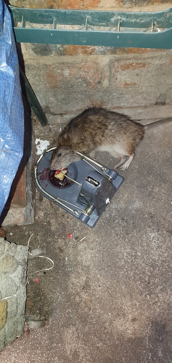 J Johnson💙💙 tweet media