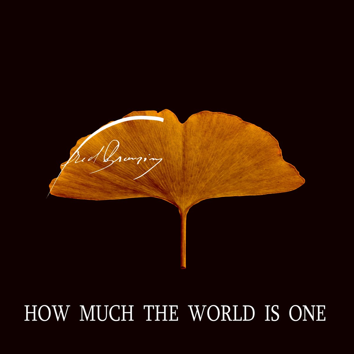 Fred Branziny tweet media