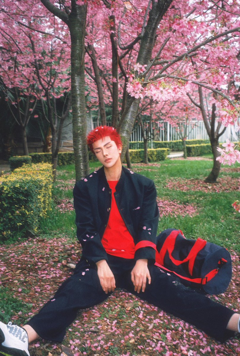 生日快乐，篮球明星

#桜木花道生誕祭2025