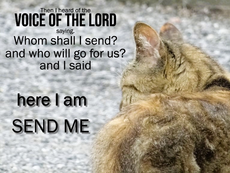 MASANORI YANAGI (@masanoriya78611) on Twitter photo 