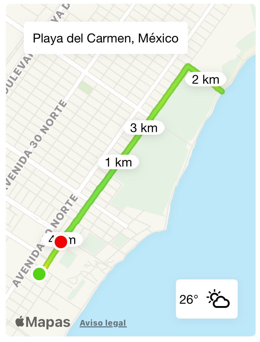 Endorphjunkie's tweet photo. Hoy si hubo paseo por la 5a. Av. y la playita, corrí 4.02 km + pushups + pullups + fierros callejeros + nadada caribeña #oldschool #endorphinejunkie #horafeliz #Paquete https://t.co/UmqksFC9FJ