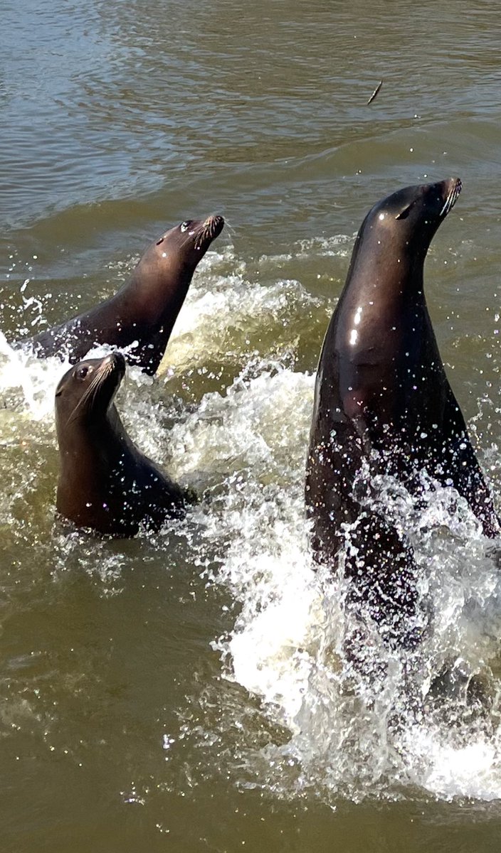 Matt Wash Writing tweet media