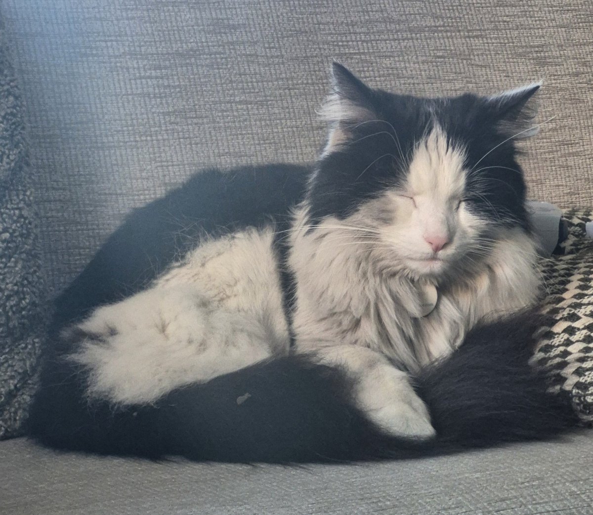 LOOK AT THIS FILTHY MAN