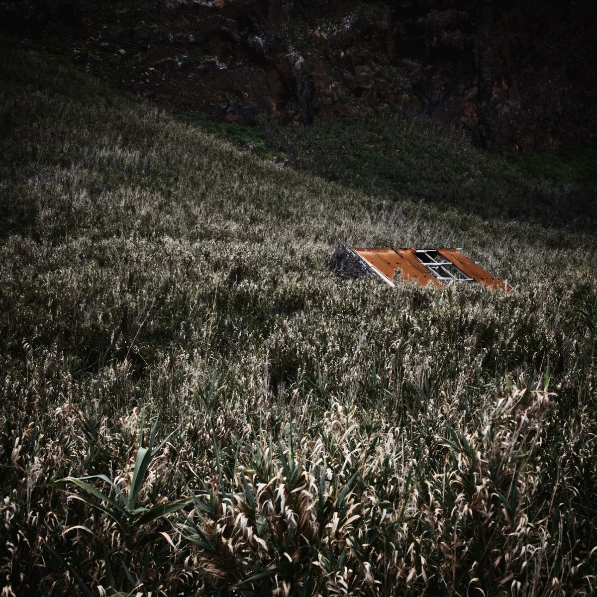 JBovski ° tweet media